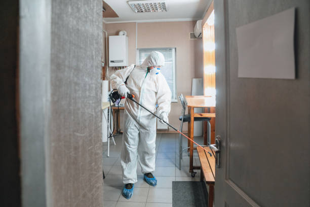 Holyoke, MA Mold Removal Company