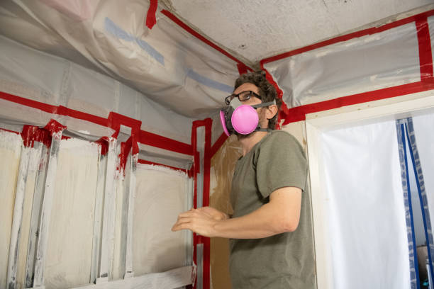 Mold Remediation for Rental Properties in Holyoke, MA