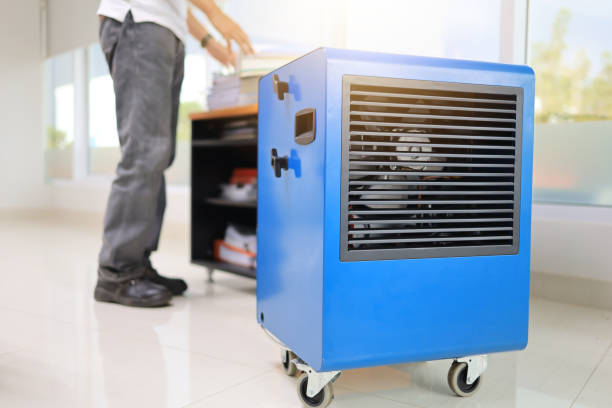 Best Commercial Mold Inspection  in Holyoke, MA