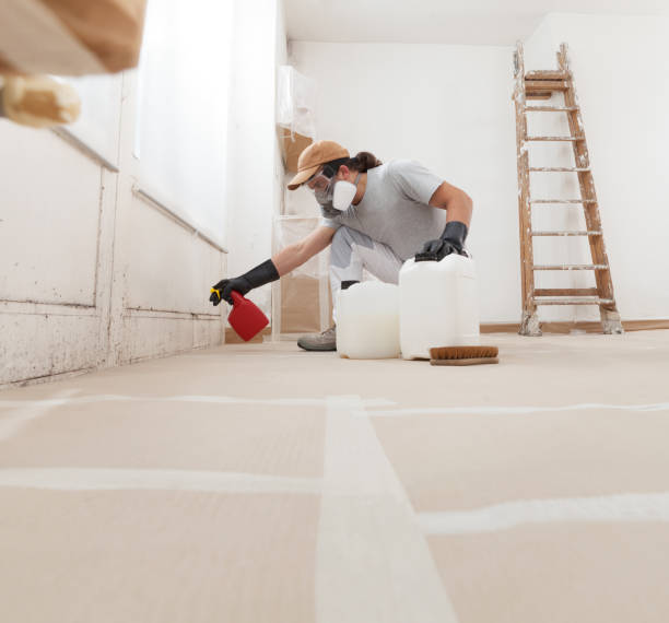 Best Post-Construction Mold Inspection  in Holyoke, MA